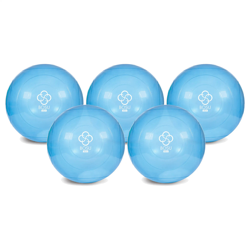 Bosu ballast ball pro hotsell