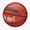 Wilson Jr. NBA Family Authentic Indoor Basketball