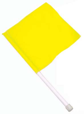 16" Hand-Held Flags (Set of 4)