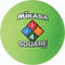 Lime Mikasa Four-Square Ball