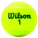 Wilson Intermediate Balls - Can of 3