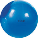 Gymnic Classic Exercise Ball - 65cm/26" (Blue)