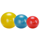 Gymnic Plus Exercise Balls