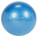 Gymnic Plus Exercise Ball - 65cm/26" (Blue)