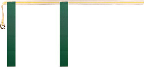 Medium Rip Flag Football Belts - Green