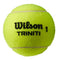 Wilson Triniti Tennis Balls - 3 Ball Sleeve