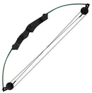 Bear Firestar Compound Bow