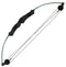 Bear Firestar Compound Bow