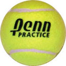 Penn Practice Tennis Balls