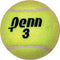 Penn Championship Game Tennis Balls