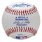 Rawlings Level 1 Official Training Baseball