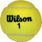 Wilson Championship Game Tennis Balls
